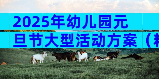 2025年幼儿园元旦节大型活动方案（精选3篇）