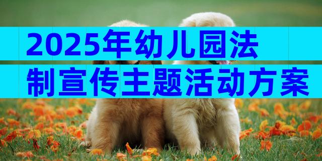 2025年幼儿园法制宣传主题活动方案（通用25篇）