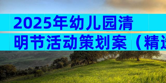 2025年幼儿园清明节活动策划案（精选13篇）