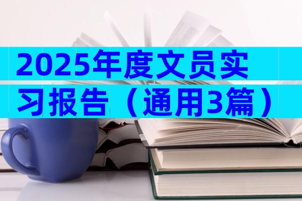 2025年度文员实习报告（通用3篇）