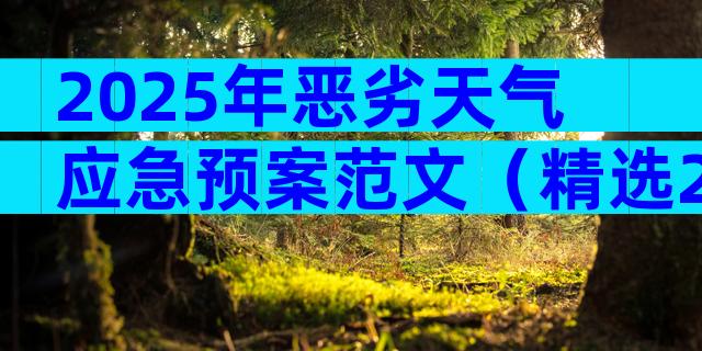 2025年恶劣天气应急预案范文（精选28篇）