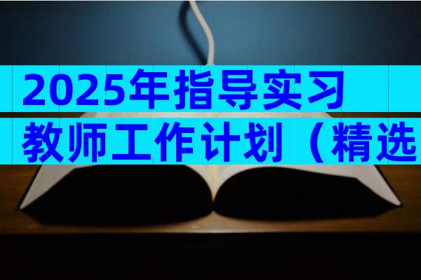 2025年指导实习教师工作计划（精选9篇）