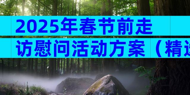 2025年春节前走访慰问活动方案（精选32篇）