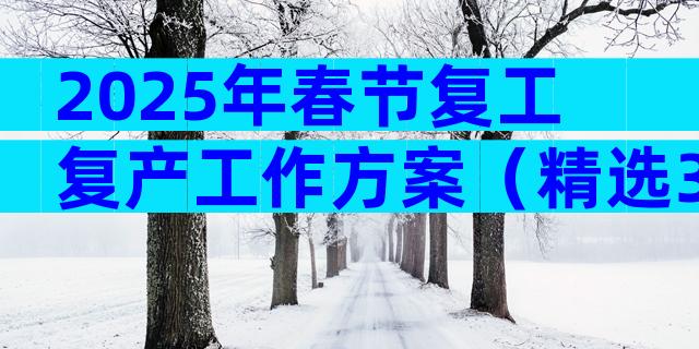 2025年春节复工复产工作方案（精选33篇）