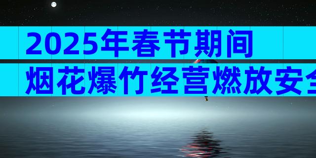2025年春节期间烟花爆竹经营燃放安全监管工作方案（精选11篇）