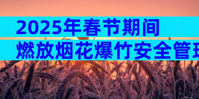 2025年春节期间燃放烟花爆竹安全管理工作方案（精选12篇）
