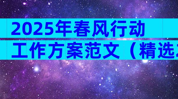 2025年春风行动工作方案范文（精选28篇）