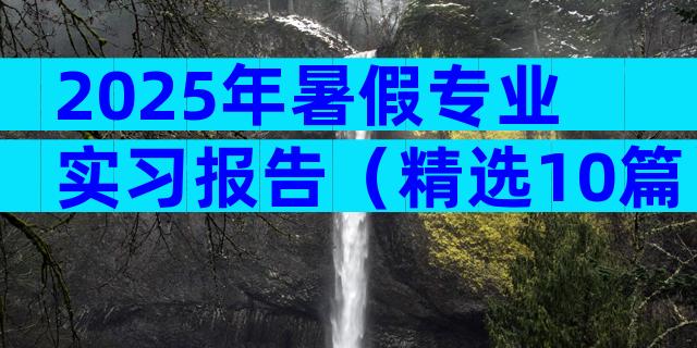 2025年暑假专业实习报告（精选10篇）