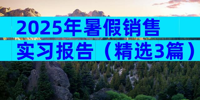 2025年暑假销售实习报告（精选3篇）