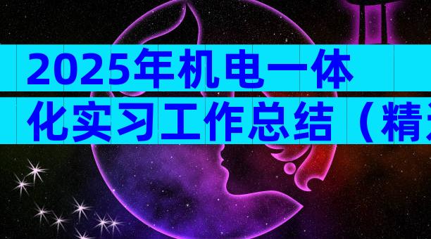 2025年机电一体化实习工作总结（精选9篇）