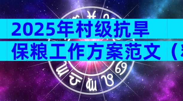 2025年村级抗旱保粮工作方案范文（精选14篇）