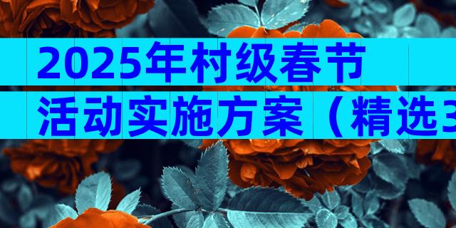2025年村级春节活动实施方案（精选3篇）