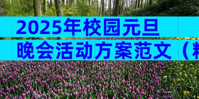 2025年校园元旦晚会活动方案范文（精选31篇）