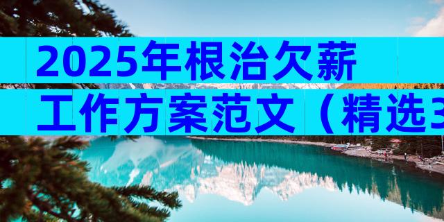 2025年根治欠薪工作方案范文（精选33篇）