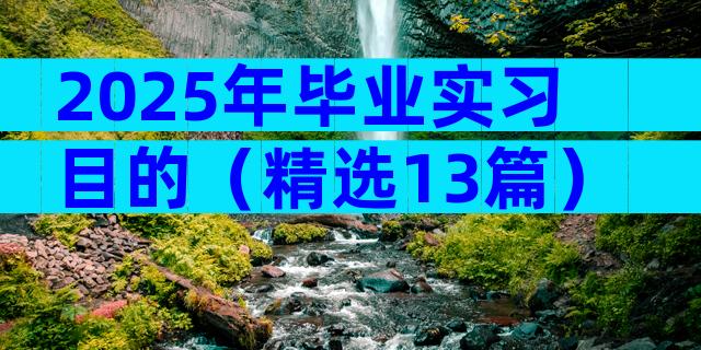 2025年毕业实习目的（精选13篇）