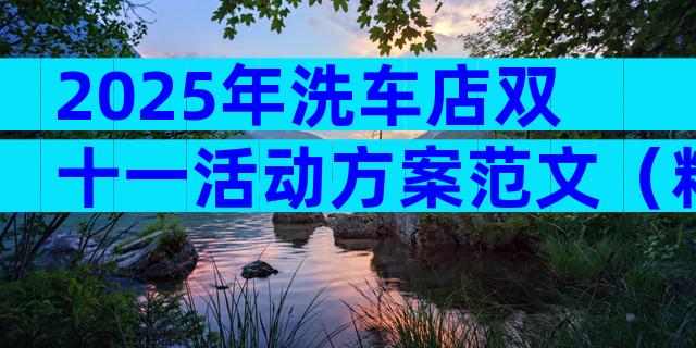 2025年洗车店双十一活动方案范文（精选31篇）