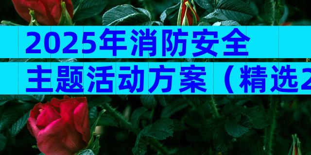 2025年消防安全主题活动方案（精选28篇）