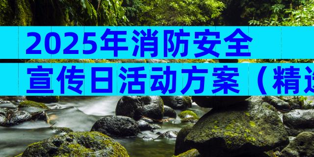 2025年消防安全宣传日活动方案（精选17篇）