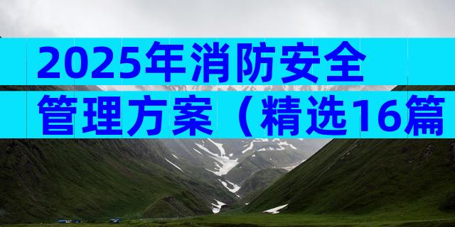2025年消防安全管理方案（精选16篇）