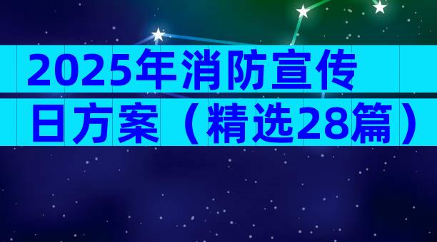 2025年消防宣传日方案（精选28篇）