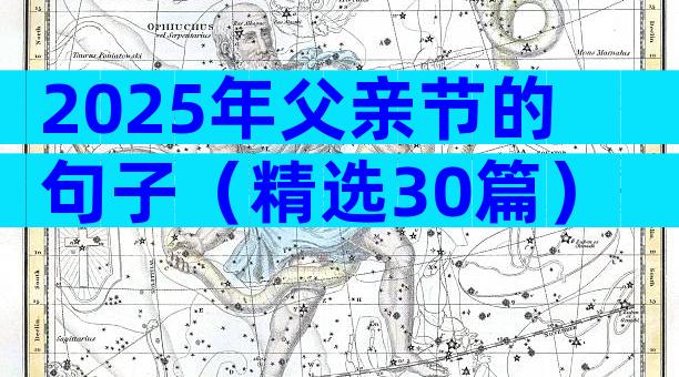 2025年父亲节的句子（精选30篇）