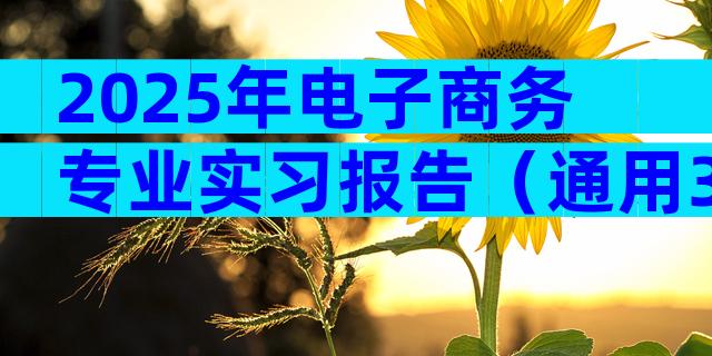 2025年电子商务专业实习报告（通用33篇）