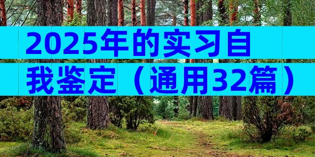 2025年的实习自我鉴定（通用32篇）