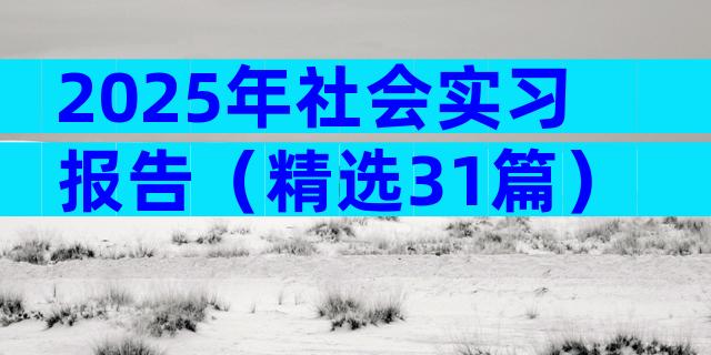 2025年社会实习报告（精选31篇）