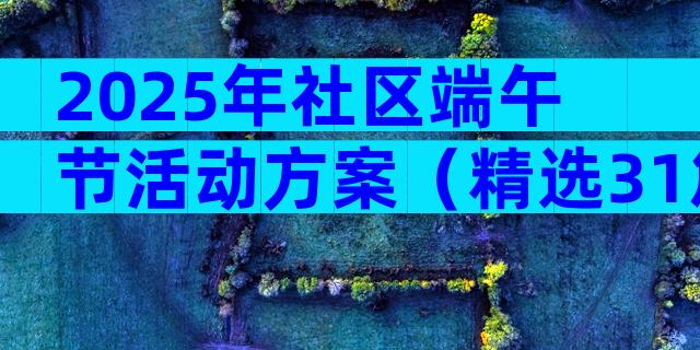 2025年社区端午节活动方案（精选31篇）