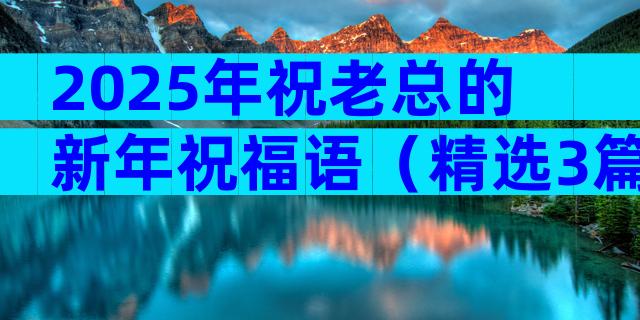 2025年祝老总的新年祝福语（精选3篇）