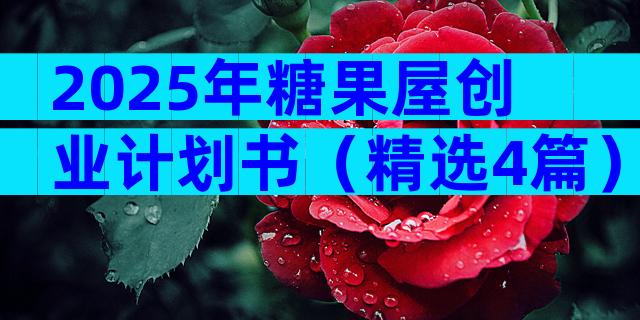 2025年糖果屋创业计划书（精选4篇）