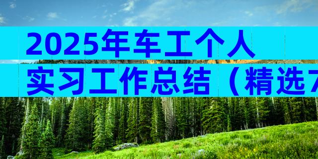 2025年车工个人实习工作总结（精选7篇）