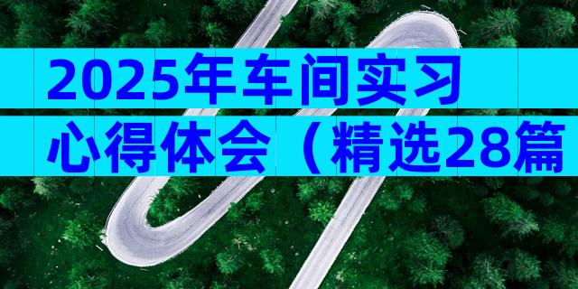 2025年车间实习心得体会（精选28篇）