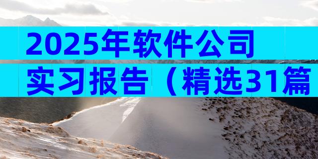 2025年软件公司实习报告（精选31篇）