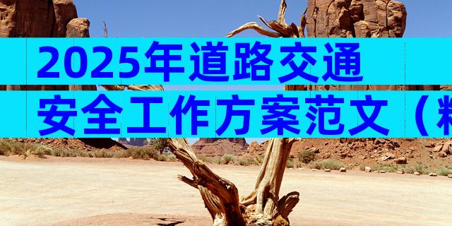 2025年道路交通安全工作方案范文（精选30篇）