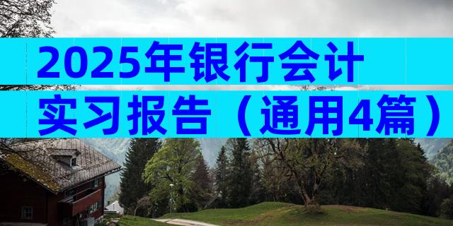 2025年银行会计实习报告（通用4篇）