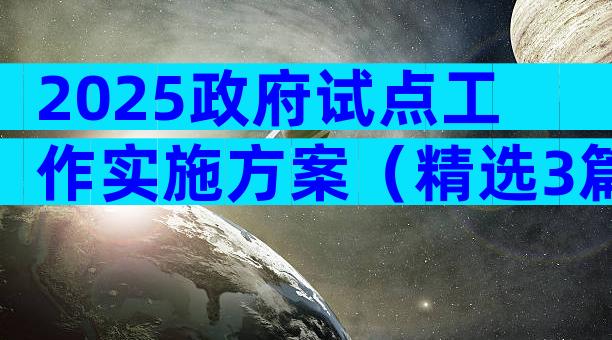 2025政府试点工作实施方案（精选3篇）