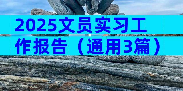 2025文员实习工作报告（通用3篇）