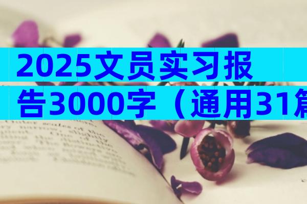 2025文员实习报告3000字（通用31篇）