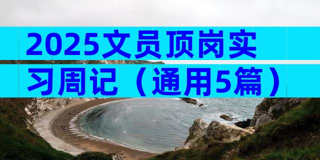 2025文员顶岗实习周记（通用5篇）