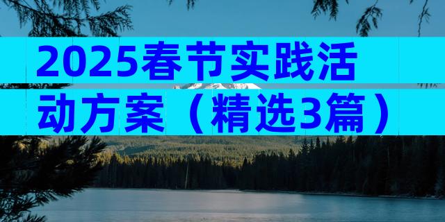 2025春节实践活动方案（精选3篇）