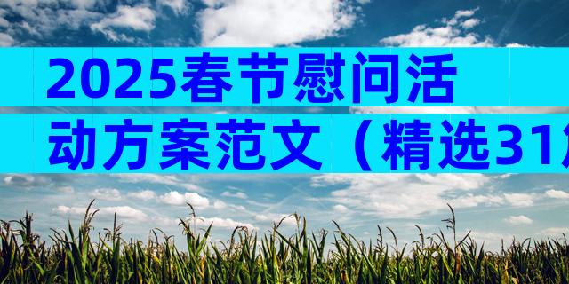 2025春节慰问活动方案范文（精选31篇）