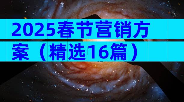 2025春节营销方案（精选16篇）