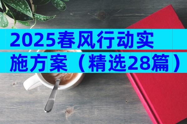 2025春风行动实施方案（精选28篇）