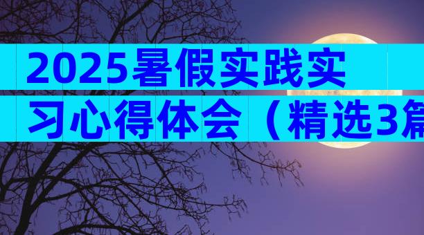 2025暑假实践实习心得体会（精选3篇）