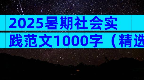 2025暑期社会实践范文1000字（精选27篇）