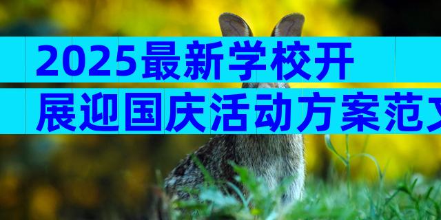 2025最新学校开展迎国庆活动方案范文（精选32篇）