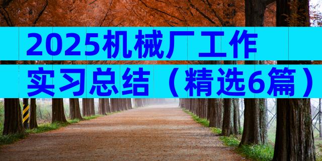 2025机械厂工作实习总结（精选6篇）