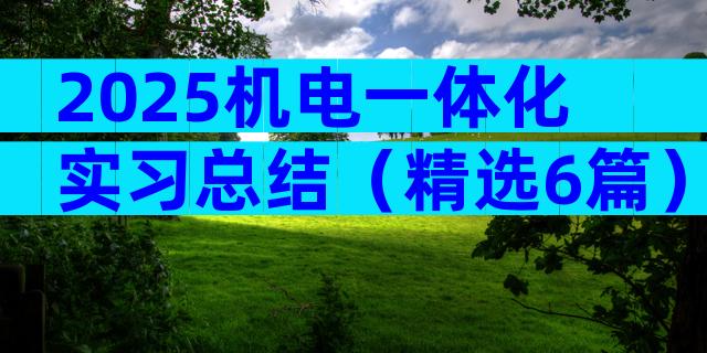 2025机电一体化实习总结（精选6篇）