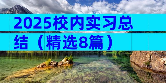 2025校内实习总结（精选8篇）